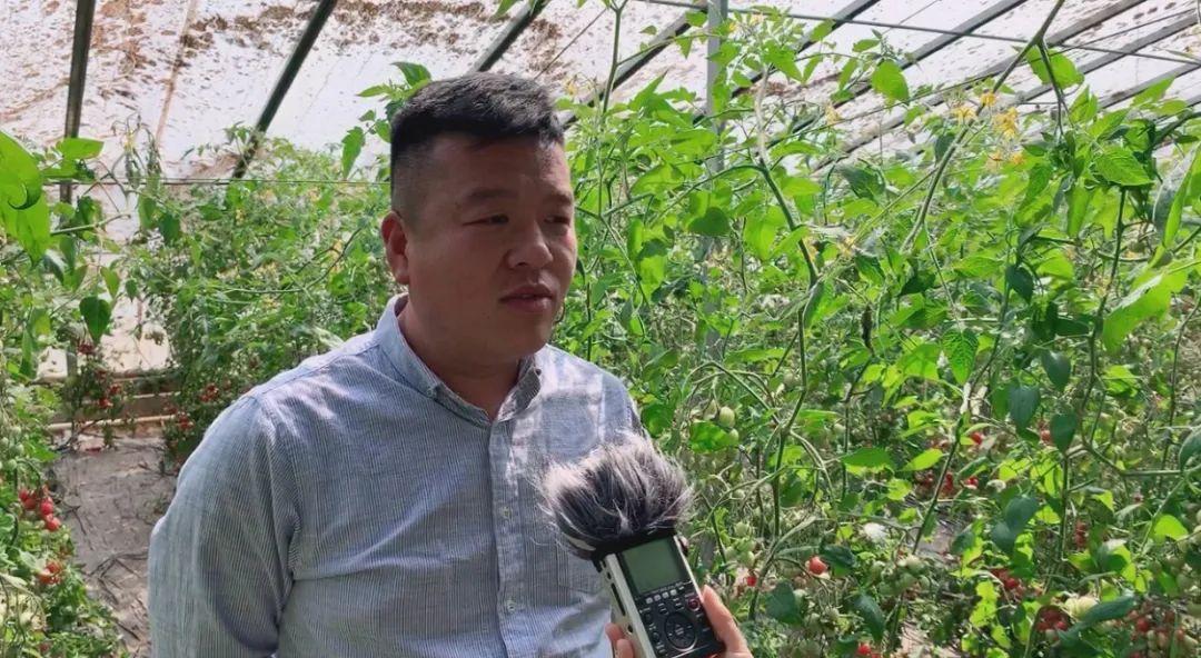 光伏未来是我们的共同未来